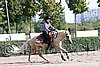 MEC06_1491.jpg