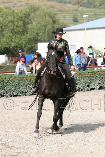 MEC06_1564.jpg