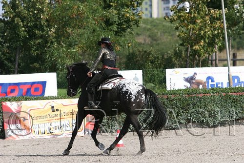 MEC06_1567.jpg
