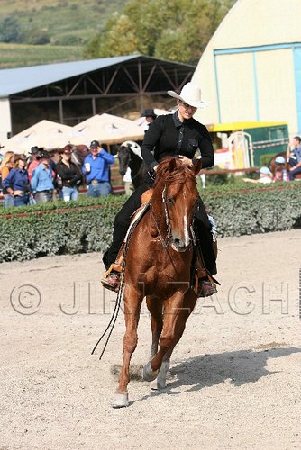 MEC06_1583.jpg