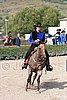 MEC06_1549.jpg