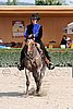 MEC06_1550.jpg