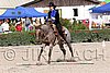 MEC06_1555.jpg