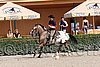 MEC06_1559.jpg