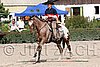 MEC06_1561.jpg