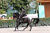 MEC06_1569.jpg