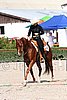 MEC06_1581.jpg