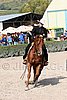 MEC06_1583.jpg