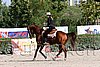 MEC06_1584.jpg
