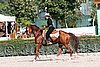 MEC06_1585.jpg