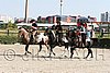 MEC06_1607.jpg