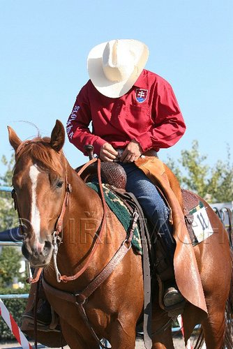 MEC06_2467.jpg