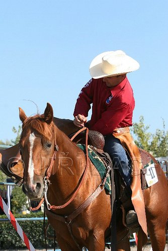 MEC06_2468.jpg
