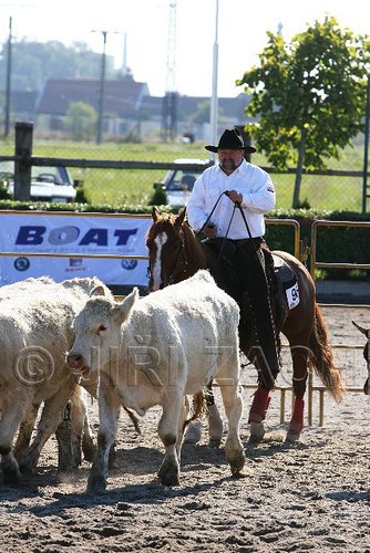 MEC06_2490.jpg