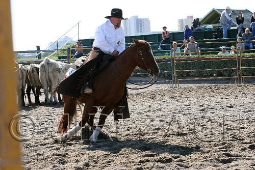 MEC06_2760.jpg