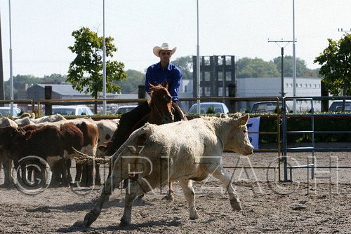 MEC06_2767.jpg