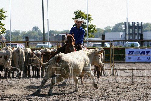MEC06_2768.jpg