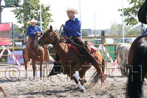 MEC06_2781.jpg