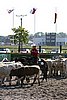 MEC06_2547.jpg