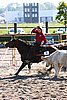 MEC06_2555.jpg