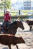 MEC06_2557.jpg