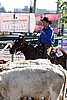 MEC06_2560.jpg