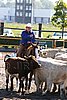 MEC06_2605.jpg
