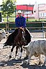 MEC06_2639.jpg