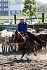 MEC06_2655.jpg
