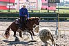 MEC06_2664.jpg