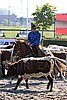 MEC06_2695.jpg