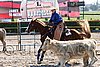 MEC06_2846.jpg