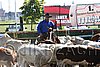 MEC06_2890.jpg