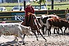 MEC06_2918.jpg