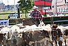 MEC06_2936.jpg