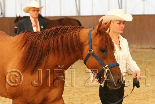 MEC06_2257.jpg