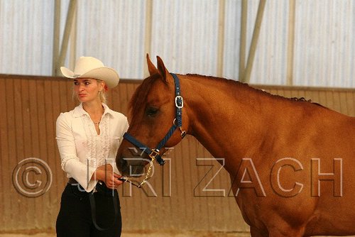 MEC06_2314.jpg