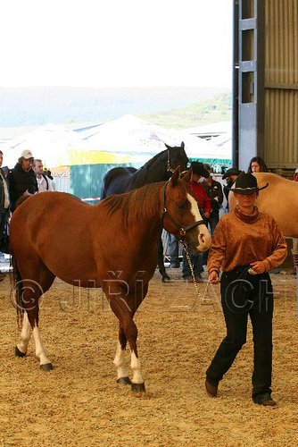 MEC06_2330.jpg