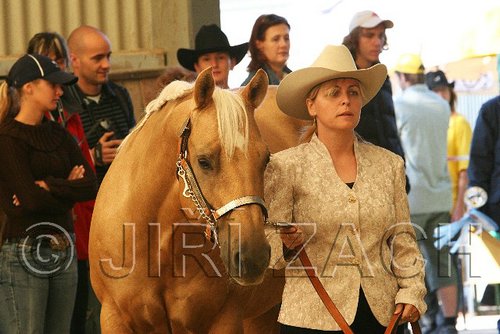 MEC06_2332.jpg