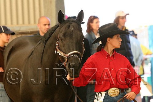 MEC06_2336.jpg