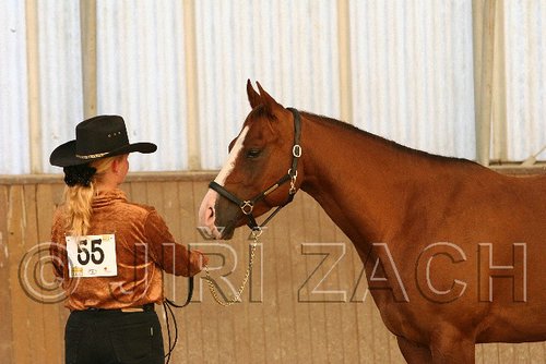 MEC06_2340.jpg