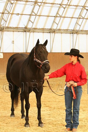 MEC06_2347.jpg