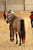 MEC06_2248.jpg