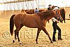 MEC06_2249.jpg