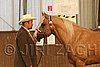 MEC06_2289.jpg