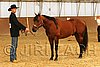 MEC06_2310.jpg
