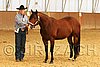 MEC06_2311.jpg