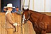 MEC06_2320.jpg