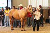 MEC06_2326.jpg