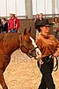 MEC06_2331.jpg